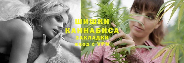 apvp Богородицк