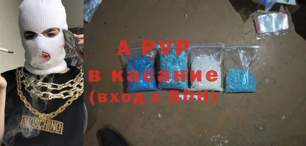 гидра Богданович