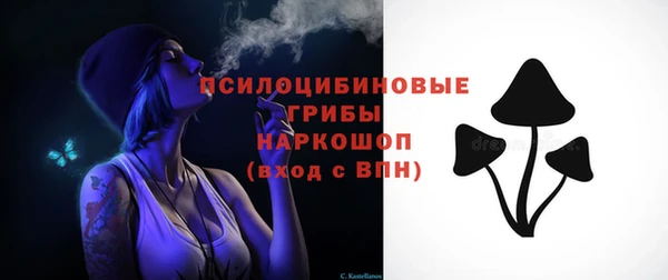 гидра Богданович