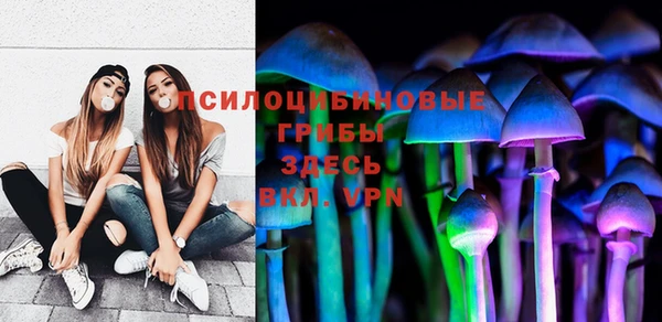 амф Белокуриха