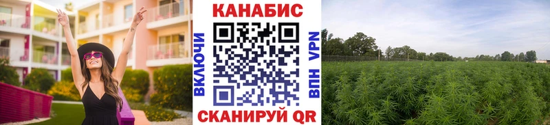 это клад  цена наркотик  Сретенск  Бошки марихуана MAZAR  OMG ССЫЛКА 